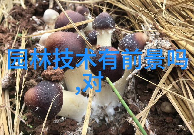 青虾虾苗放养