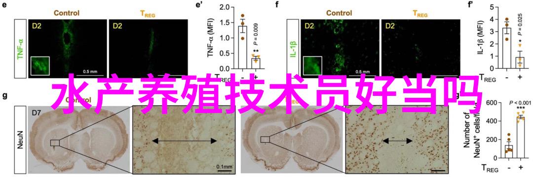 鱼类浮头的化学急救法